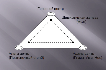 наука треугольников тела