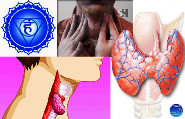 причины заболеваний щитовидной ж-зы